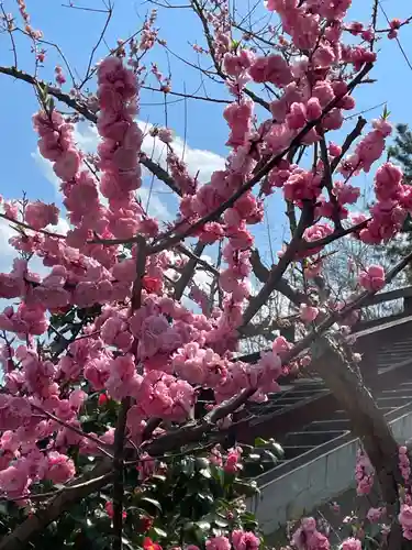 福島大神宮(北海道)