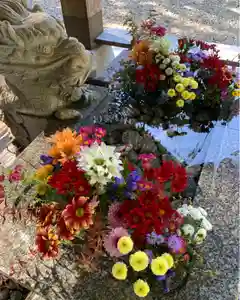 滑川神社 - 仕事と子どもの守り神(福島県)(2024年10月25日(金) 16時22分56秒投稿)