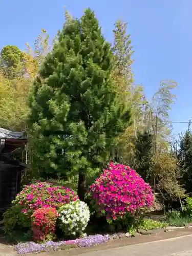 密厳院(神奈川県)