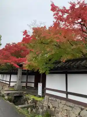 南禅寺(京都府)
