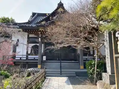 妙隆寺の御朱印