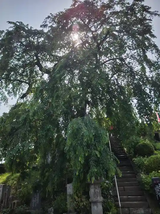 龍光寺(福島県)