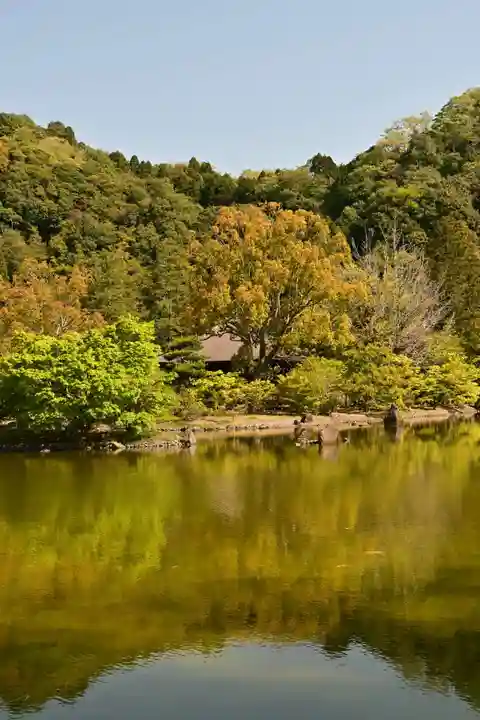 白水阿弥陀堂の庭園