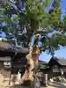 踞尾八幡神社のその他建物