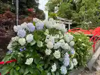 城山八幡宮(愛知県)