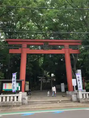 世田谷八幡宮の鳥居