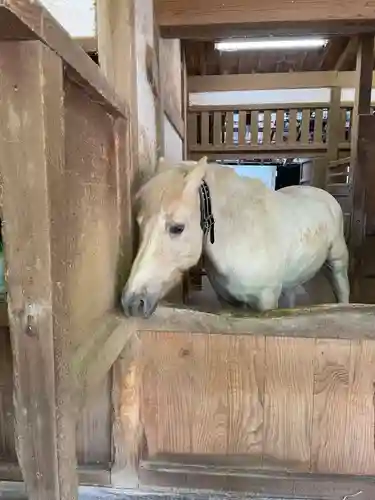 金刀比羅宮(香川県)