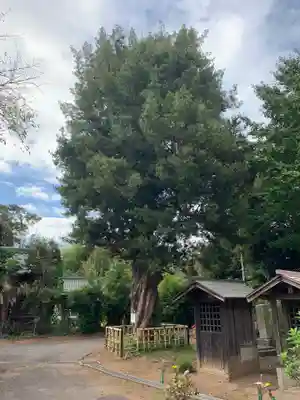 東光寺(千葉県)