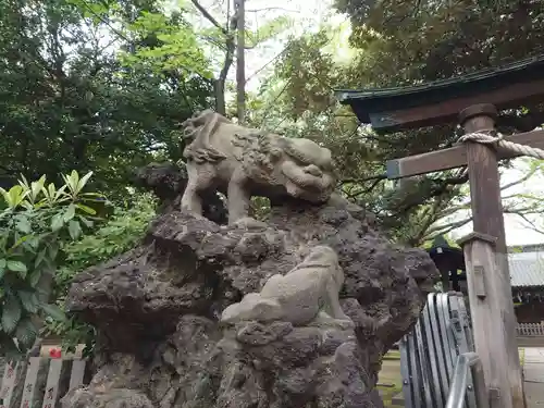 長崎神社の狛犬