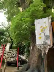 菅生神社の建物その他