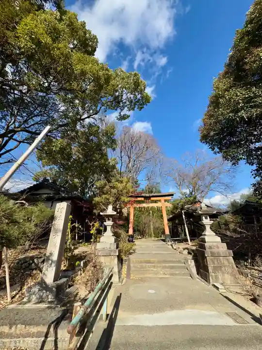 蛭子島神社(京都府)