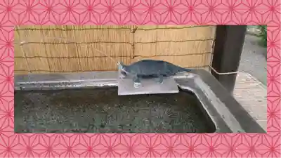 八坂神社(群馬県)