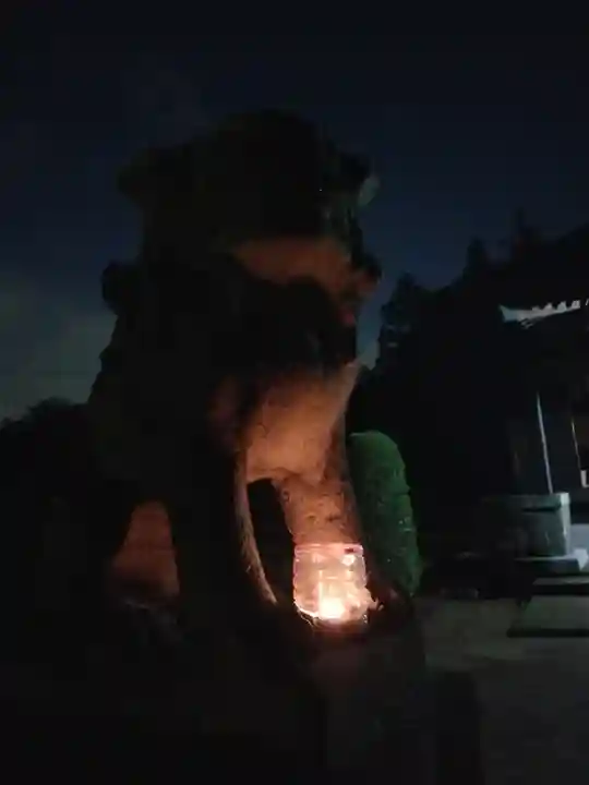 伏木香取神社の狛犬