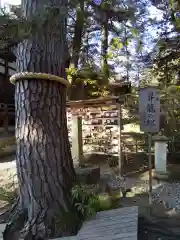 菟橋神社の自然