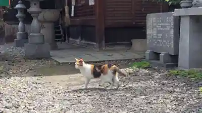 行願寺（革堂）(京都府)