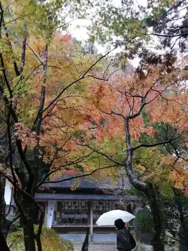 五所駒瀧神社の庭園