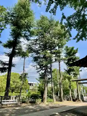 小杉神社(神奈川県)