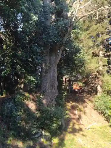 愛宕神社（渕ノ上）(宮城県)
