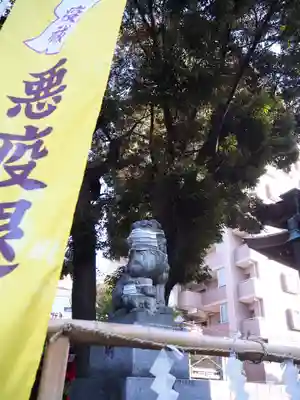 浅間神社の狛犬