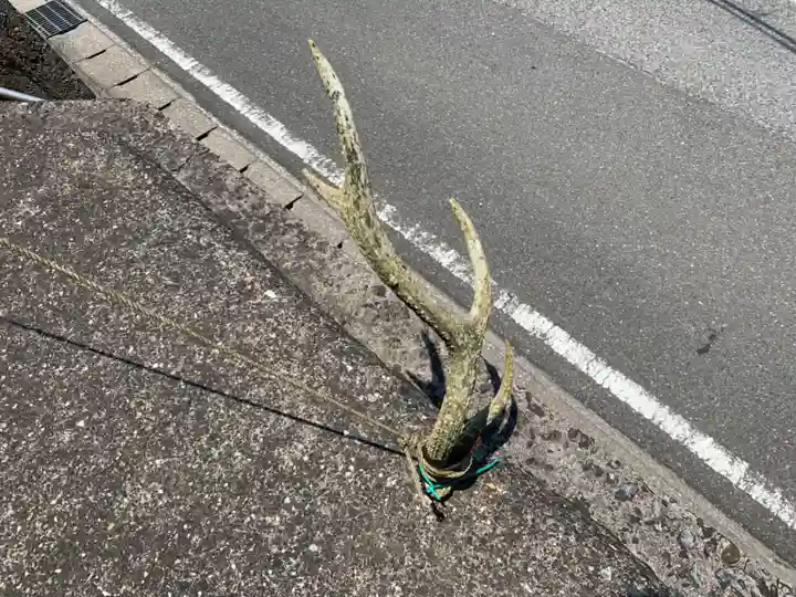神社(名称不明)(千葉県)