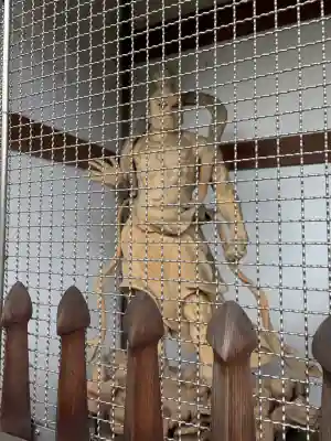 蔵王堂光福寺(京都府)