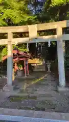 仁杉神社(静岡県)