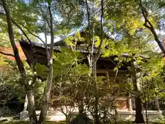 蓮華寺（洛北蓮華寺）(京都府)