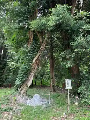 伊佐須美神社(福島県)
