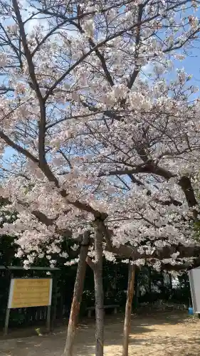 大歳神社の{uncategorized: "未分類", other: "その他", undefined: "問題あり", building: "その他建物", grave: "お墓", sacred_gate: "鳥居", guardian: "狛犬", statue: "像", buddha: "仏像", history: "歴史", nature: "自然", garden: "庭園", animal: "動物", pagoda: "塔", temizu: "手水舎", mountain_gate: "山門・神門", sanctuary: "本殿・本堂", subordinate: "末社・摂社", art: "芸術", scenery: "景色", jizo: "地蔵", ema: "絵馬", goshuin: "御朱印", omikuji: "おみくじ", items: "授与品その他", amulet: "お守り", goshuincho: "御朱印帳", eats: "食事", festival: "お祭り", votive_dance: "神楽", shichigosan: "七五三参", wedding: "結婚式", experience: "体験その他", initially: "初詣", around: "周辺", anti_infection: "感染症対策"}