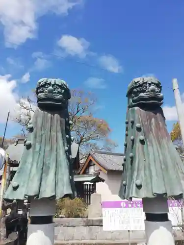 新北神社の狛犬