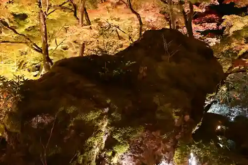 宝厳院(京都府)