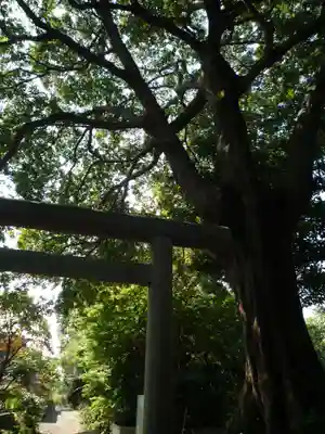 東昌寺(茨城県)