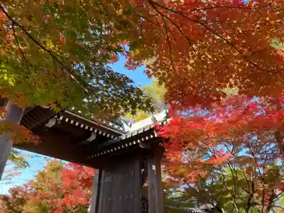 禅林寺（永観堂）の山門・神門