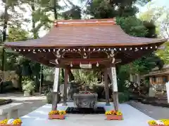 玉村八幡宮(群馬県)