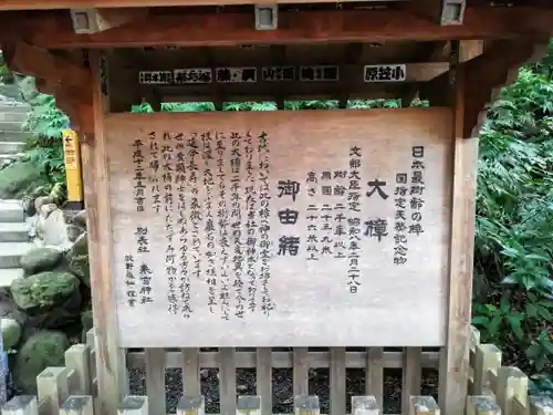 來宮神社の歴史