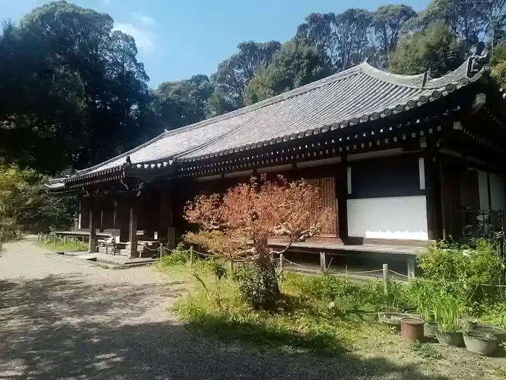 浄瑠璃寺の本殿・本堂