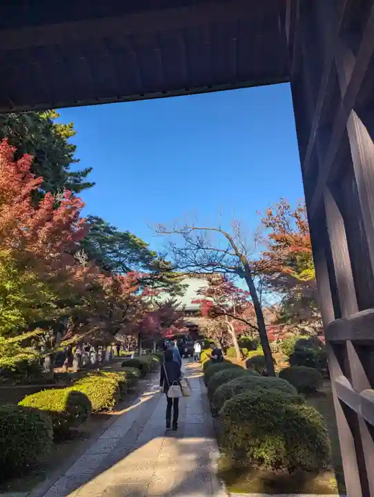 豪徳寺(東京都)