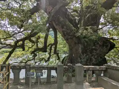 與止日女神社(佐賀県)
