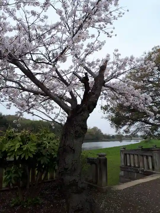 武蔵第六天神社の自然