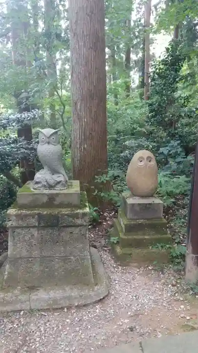 鷲子山上神社の狛犬