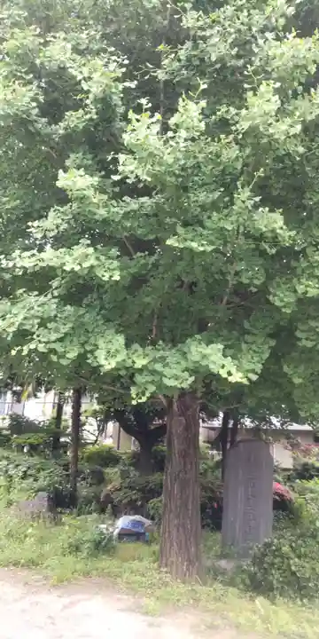 小右衛門稲荷神社(東京都)