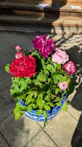 一乗寺(東京都)