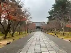 仁和寺(京都府)