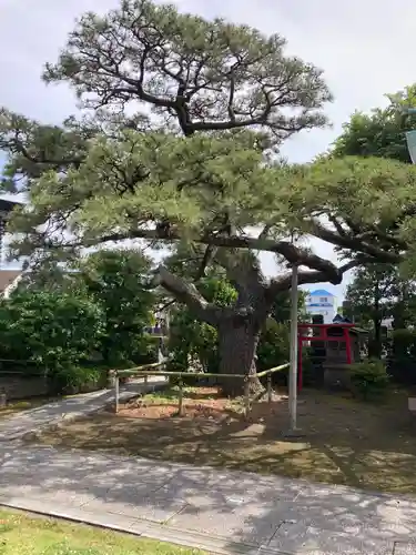 安立寺(神奈川県)