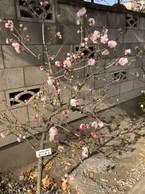 木場 洲﨑神社(東京都)