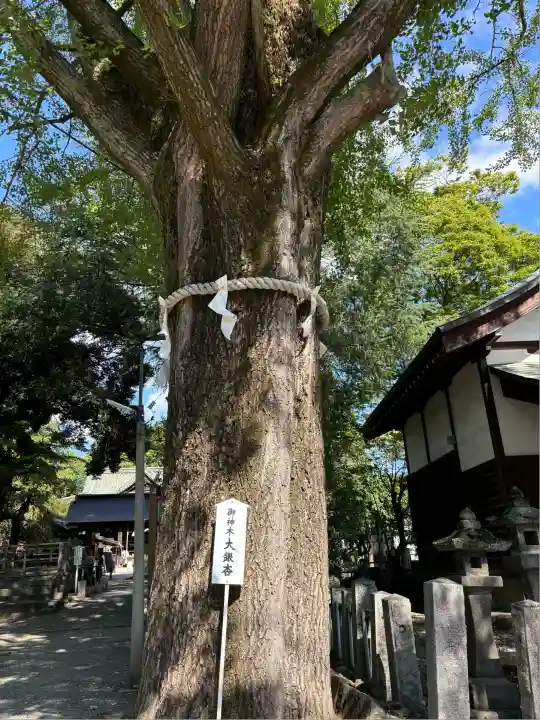 桐生天満宮(群馬県)