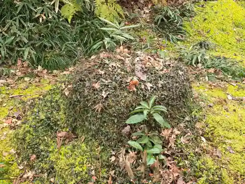 三千院門跡(京都府)