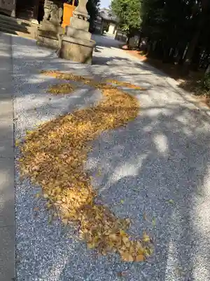星宮神社(栃木県)