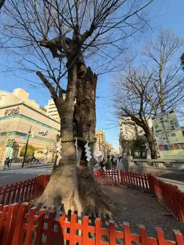 大國魂神社の{uncategorized: "未分類", other: "その他", undefined: "問題あり", building: "その他建物", grave: "お墓", sacred_gate: "鳥居", guardian: "狛犬", statue: "像", buddha: "仏像", history: "歴史", nature: "自然", garden: "庭園", animal: "動物", pagoda: "塔", temizu: "手水舎", mountain_gate: "山門・神門", sanctuary: "本殿・本堂", subordinate: "末社・摂社", art: "芸術", scenery: "景色", jizo: "地蔵", ema: "絵馬", goshuin: "御朱印", omikuji: "おみくじ", items: "授与品その他", amulet: "お守り", goshuincho: "御朱印帳", eats: "食事", festival: "お祭り", votive_dance: "神楽", shichigosan: "七五三参", wedding: "結婚式", experience: "体験その他", initially: "初詣", around: "周辺", anti_infection: "感染症対策"}