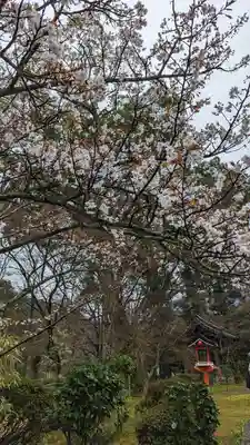 十輪寺(京都府)